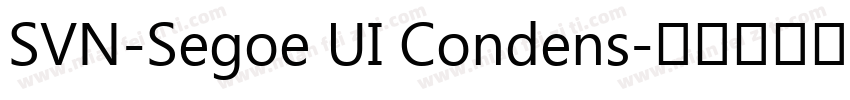 SVN-Segoe UI Condens字体转换